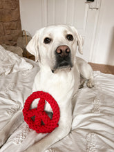 Lade das Bild in den Galerie-Viewer, Paula Friede