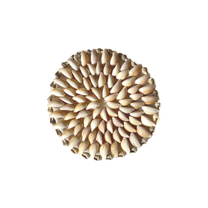 Cowry Shell - Muscheluntersetzer